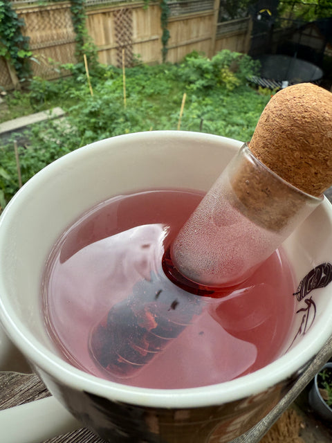 Glass Tea Infuser (Loose Leaf)