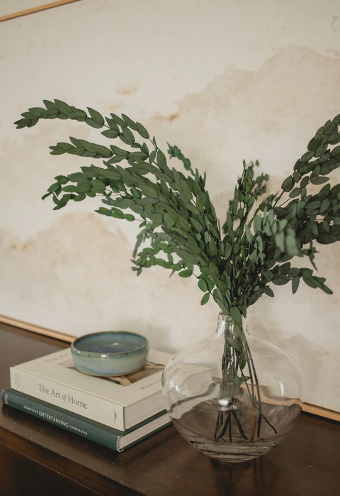 Short Willow Eucalyptus Parvifolia (Fresh Preserved)