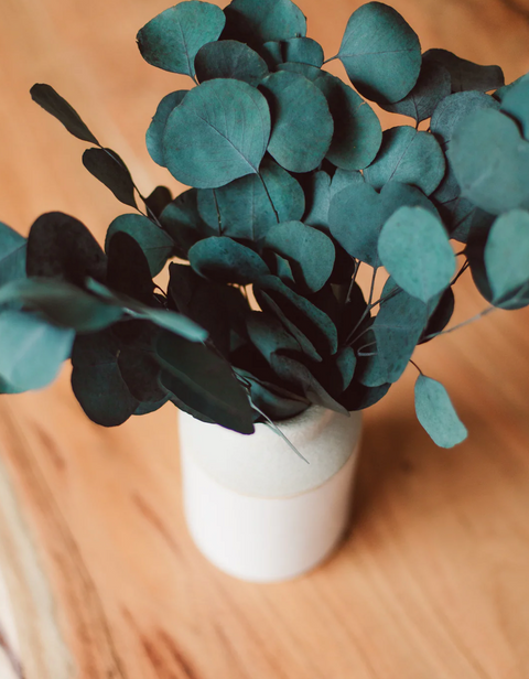 FRESH PRESERVED SILVER DOLLAR EUCALYPTUS BUNDLE