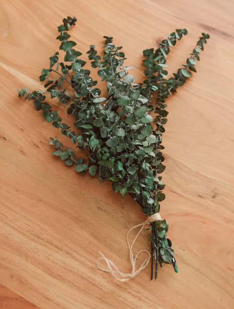 EUCALYPTUS SHOWER BUNDLE