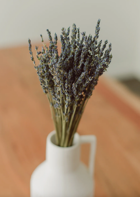 Lavender Bundle (Fresh Preserved)