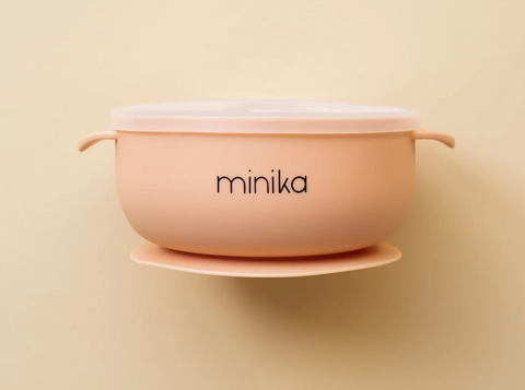 Silicone Bowl with Lid