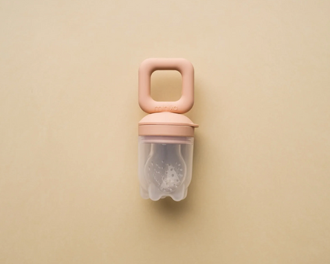 Silicone Teething Food Pacifier (6–12 months)